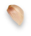 A single garlic clove with a smooth, papery husk in shades of pale beige and light brown, shown against a plain, black background. GREENHOUSE Goodness A single garlic clove with a smooth, papery husk in shades of pale beige and light brown, shown against a plain, black background. GREENHOUSE Goodness