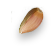 A single garlic clove with a light brown papery skin, shown against a plain black background. The clove has a smooth texture and a slightly pointed tip. GREENHOUSE Goodness A single garlic clove with a light brown papery skin, shown against a plain black background. The clove has a smooth texture and a slightly pointed tip. GREENHOUSE Goodness