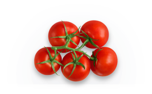 A cluster of five bright red tomatoes on the vine against a dark, multicolored circular background. The tomatoes have green stems and appear fresh and glossy. GREENHOUSE Goodness A cluster of five bright red tomatoes on the vine against a dark, multicolored circular background. The tomatoes have green stems and appear fresh and glossy. GREENHOUSE Goodness