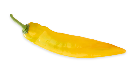 A bright yellow chili pepper with a glossy surface, slightly curved with a pointed tip and a green stem, isolated on a white background. GREENHOUSE Goodness A bright yellow chili pepper with a glossy surface, slightly curved with a pointed tip and a green stem, isolated on a white background. GREENHOUSE Goodness