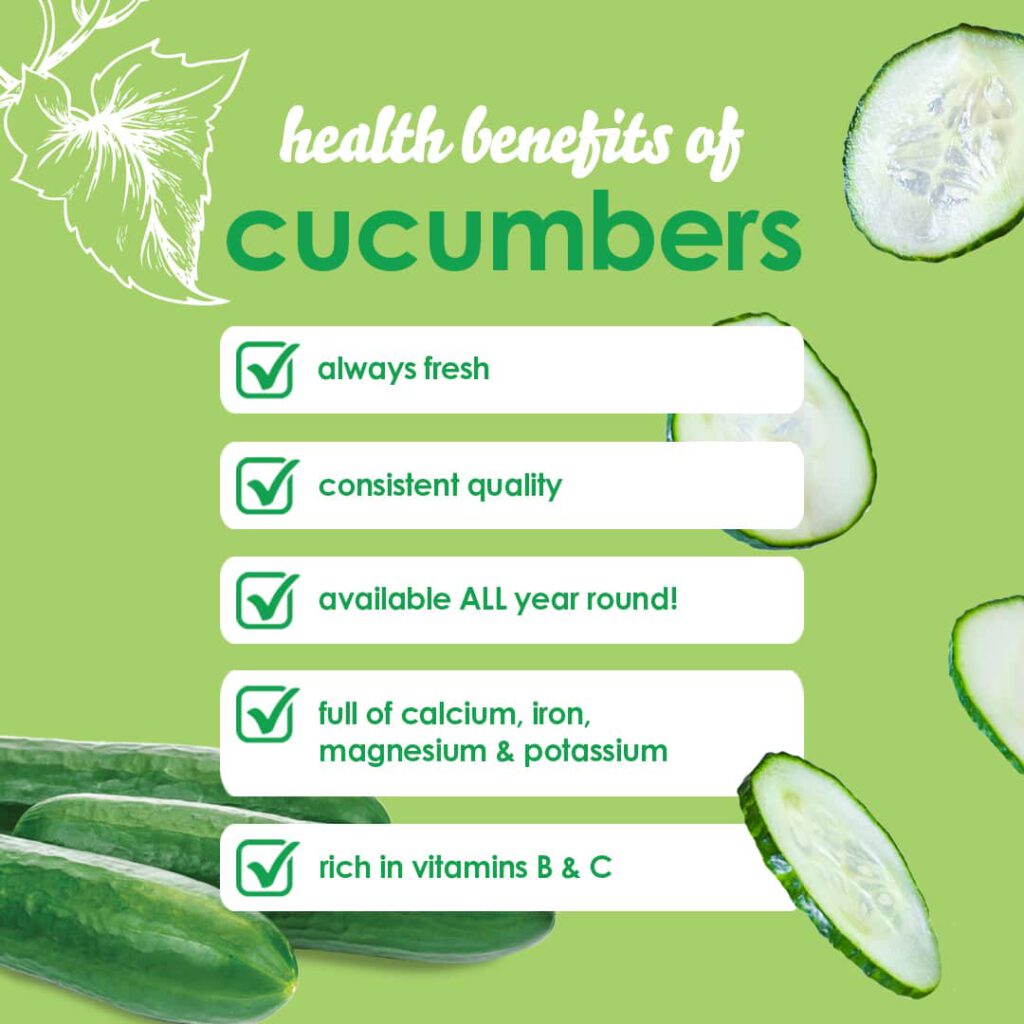Green graphic titled "health benefits of cucumbers" with illustrations of cucumbers. Five checkmarked benefits listed: always fresh, consistent quality, available all year round, full of calcium, iron, magnesium & potassium, rich in vitamins B & C. GREENHOUSE Goodness