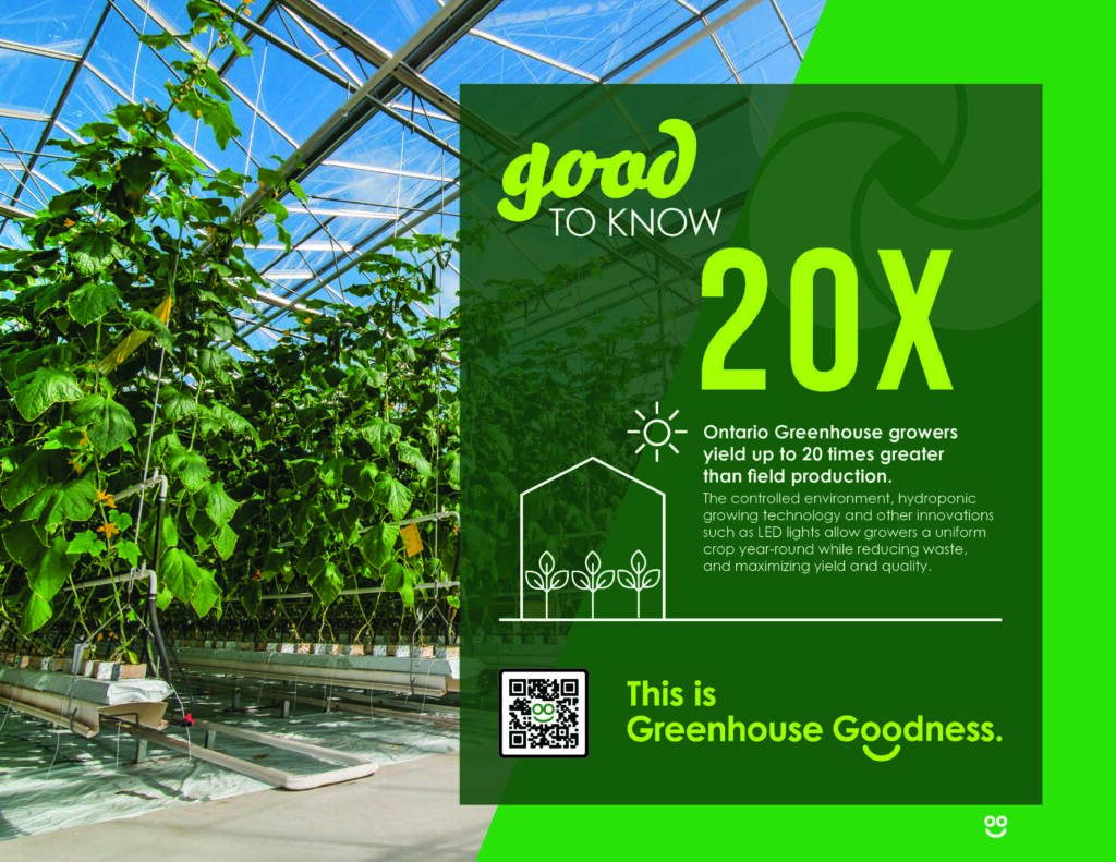A greenhouse interior with tall plants growing on trellises. Text reads: "Good to Know 20x. Ontario Greenhouse growers yield up to 20 times greater than field production." Includes a QR code and text: "This is Greenhouse Goodness. GREENHOUSE Goodness