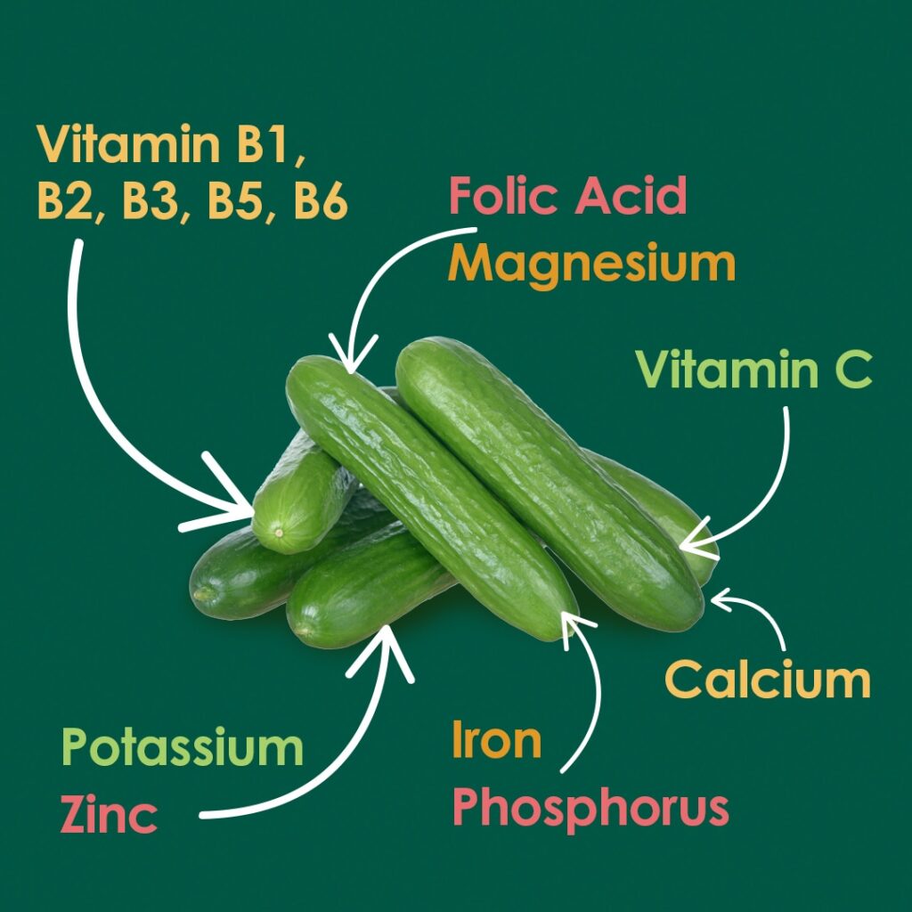 A stack of cucumbers on a green background with text labels around them indicating nutrients: Vitamin B1, B2, B3, B5, B6, Vitamin C, calcium, folic acid, magnesium, potassium, zinc, iron, and phosphorus. Arrows point from the cucumbers to the labels. GREENHOUSE Goodness