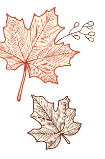 Illustration of two sketched maple leaves, one larger and red above a smaller, brown leaf. The larger leaf is accompanied by a small branch with three buds. The background is plain green. GREENHOUSE Goodness