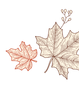 Illustration of two autumn leaves and a small branch with buds on a green background. One leaf is large and beige with detailed veins, while the smaller leaf is orange with a similar pattern. GREENHOUSE Goodness