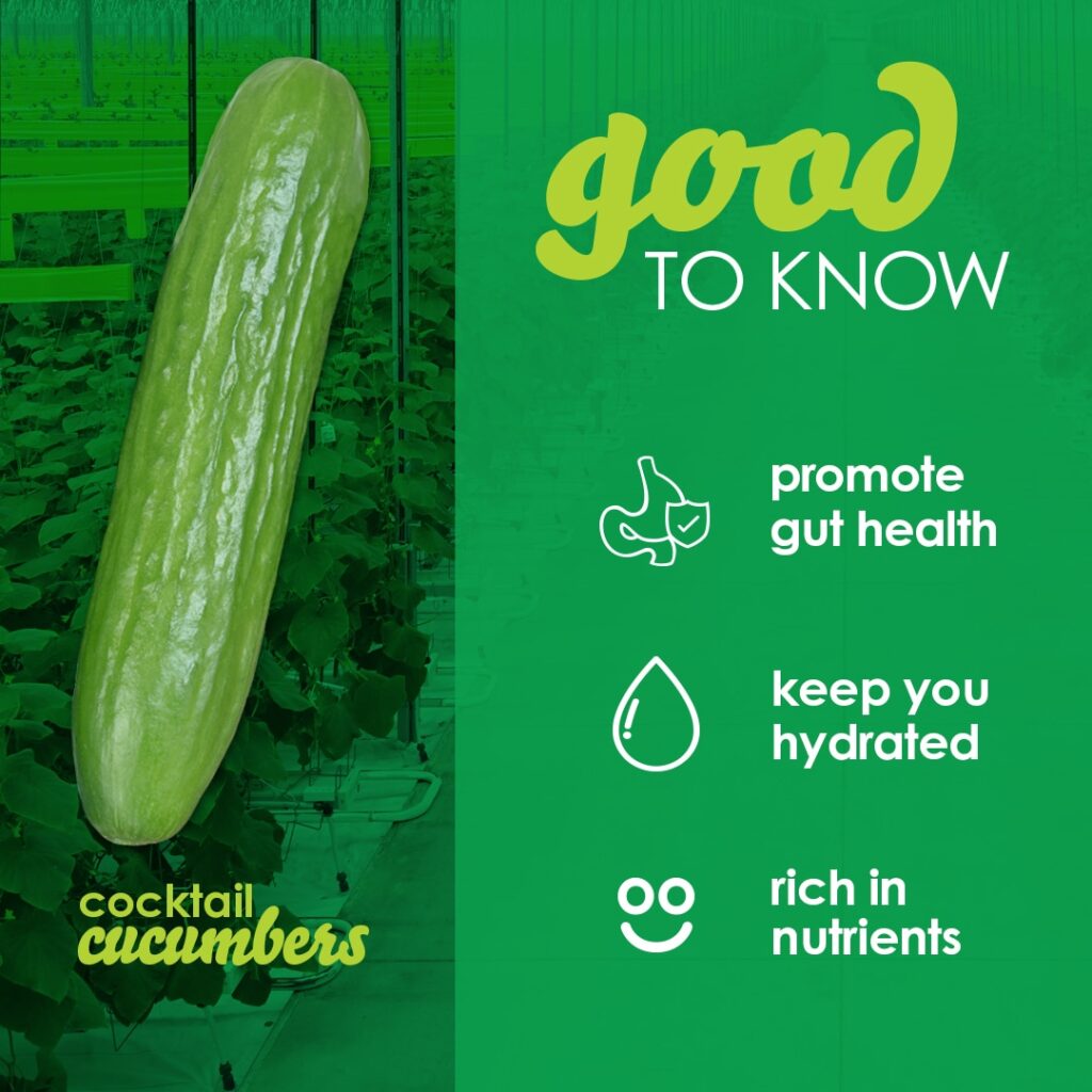 Smooth, green cucumber on a green background. Text highlights benefits: "promote gut health," "keep you hydrated," "rich in nutrients." Bold words "good to know" at the top and "cocktail cucumbers" at the bottom left. GREENHOUSE Goodness