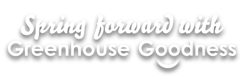 The image shows the text "Spring forward with Greenhouse Goodness" in a playful font, with a smiley face incorporated into the word "Goodness. GREENHOUSE Goodness