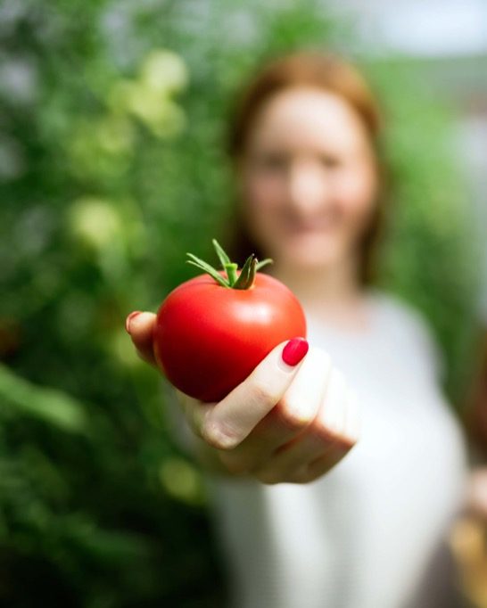 A person with red-painted nails holds a ripe red tomato toward the camera, with the background blurred and green plants visible. GREENHOUSE Goodness