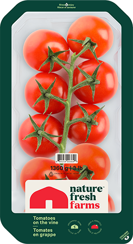 Tomatoes on the Vine | Greenhouse Goodness Farm-Fresh Flavor