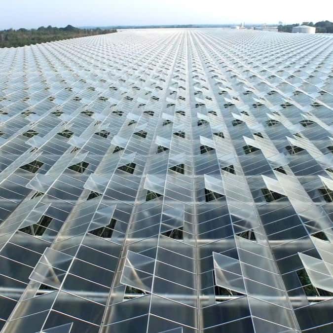 Rows of solar panels stretch into the distance, reflecting the sky and forming a geometric pattern across a vast open landscape. GREENHOUSE Goodness