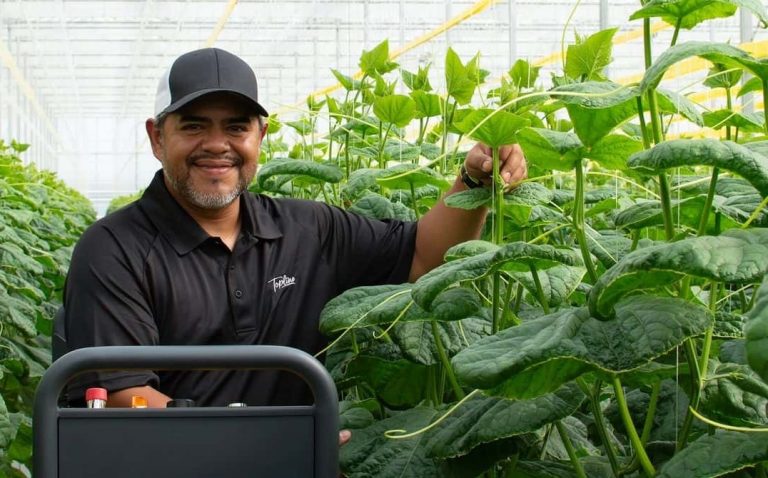 A man in a black cap and shirt smiles while tending to tall green plants using sustainable greenhouse techniques, standing next to a machine with buttons inside a greenhouse. GREENHOUSE Goodness