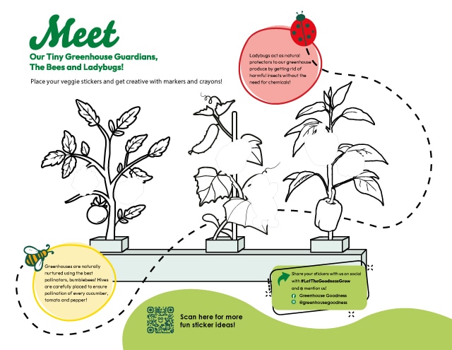 A coloring page shows three potted plants on a bench inside a greenhouse, with outlined bees and a ladybug. Informative text highlights the roles of bees and ladybugs in greenhouses. There is a QR code and social media info. GREENHOUSE Goodness