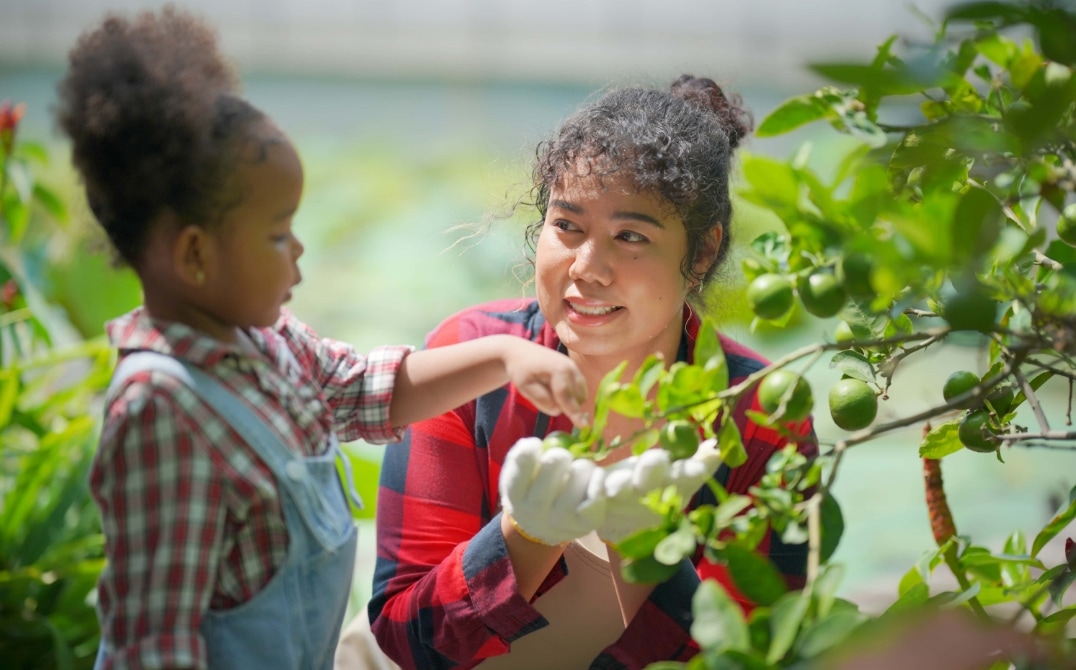 A woman wearing gloves and a red plaid shirt smiles as she helps a young child pick green lemons from a tree in a garden, sharing the joys of greenhouse education as the child reaches out to touch the fruit. GREENHOUSE Goodness